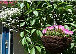 Blumenschmuck